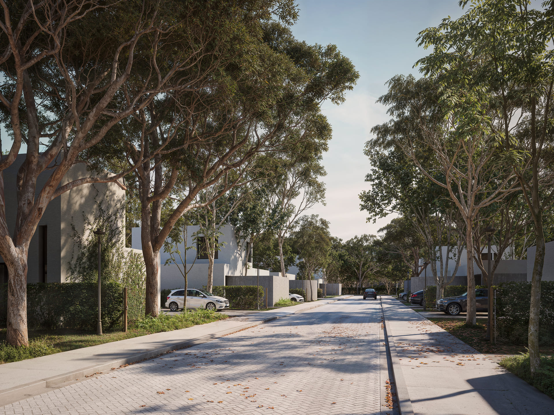 Condominio BdF II C02 - 170925 copia