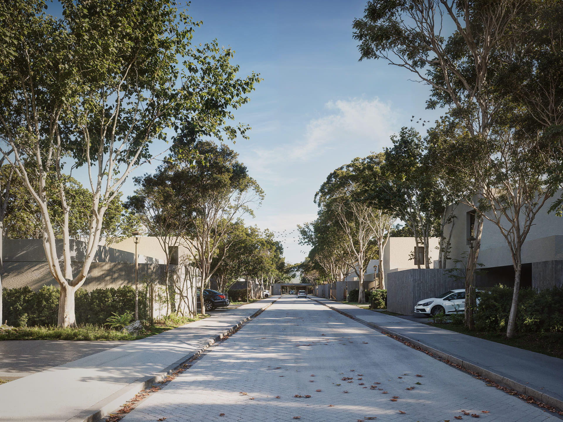 Condominio BdF II C08 - 180925 copia